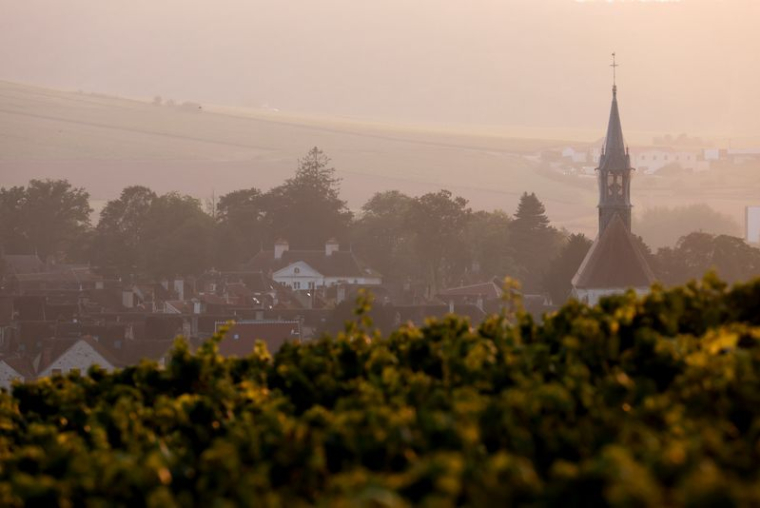 Vue sur le vignoble de Chablis