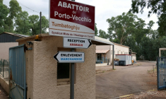 L'entrée de l'abattoir de Porto-Vecchio, le 30 juillet 2025 ( AFP / STRINGER )
