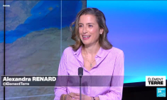 Le trafic mondial d’insectes, nouveau business en plein essor