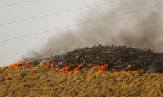 Des flammes s'étendent sur un colline près de Bedar, dans le district de Los Gallardos, dans la province espagnole d'Almería, le 11 juillet 2026 en Espagne ( AFP / JORGE GUERRERO )