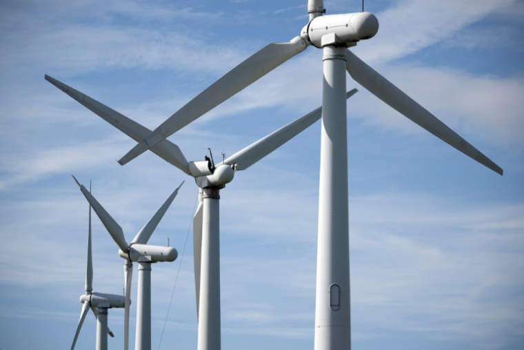 Les énergies renouvelables se déploient au niveau mondial plus vite que les énergies fossiles, malgré les changements de politiques aux Etats-Unis, selon l'Agence internationale de l'énergie (AIE) ( AFP / Oli SCARFF )