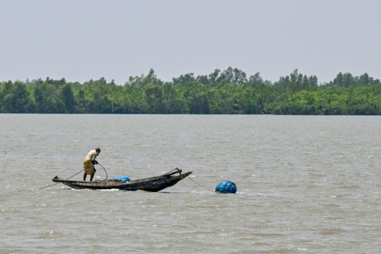 Un pêcheur sur la rivière Kholpetua à Gabura, dans le district de Satkhira, près des Sundarbans, une mangrove ravagée par les pirates qui ciblent les pêcheurs, le 2avril 2026 au Bangladesh ( AFP / Munir UZ ZAMAN )