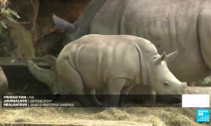 Zoo d'Amnéville : aux petits soins des animaux