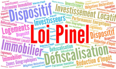 Tout le monde connait le Pinel, mais cette niche fiscale profite t-elle vraiment à tout le monde ? ( Crédits : ©  Ricochet64 - stock.adobe.com)