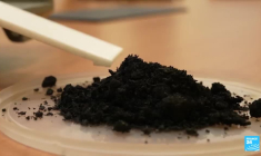 Inde : à New Dehli, la population étouffée par l'air toxique