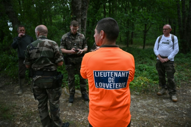 Des gendarmes et chasseurs recherchent Lyhanna, collégienne disparue dans le Gers, le 3 juin 2026 ( AFP / Matthieu RONDEL )