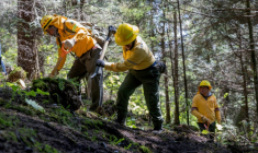 Members of the Commission on Natural Resources and Rural Development (CORENADR) take part in the search for human remains in Ajusco, Mexico City, on October 23, 2025. Activists, firefighters, authorities, and forensic experts took part on October 23, in the search for human remains in a large wooded area of Mexico City, where, according to reports, more than a hundred missing people are buried. ( AFP / GERARDO MAGALLON )