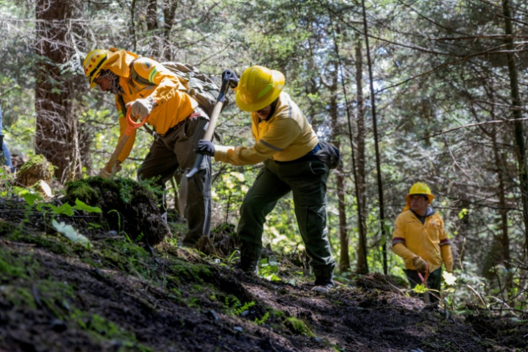Members of the Commission on Natural Resources and Rural Development (CORENADR) take part in the search for human remains in Ajusco, Mexico City, on October 23, 2025. Activists, firefighters, authorities, and forensic experts took part on October 23, in the search for human remains in a large wooded area of Mexico City, where, according to reports, more than a hundred missing people are buried. ( AFP / GERARDO MAGALLON )