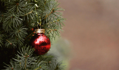 De nombreuses municipalités mettent en place des points de collecte après les fêtes pour collecter les vieux sapins de Noël. (Illustration) (TanteTati / Pixabay)