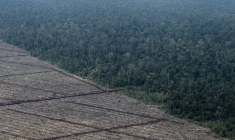 Photo d'archives : Une vue de la déforestation sur l'île de Sumatra en Indonésie