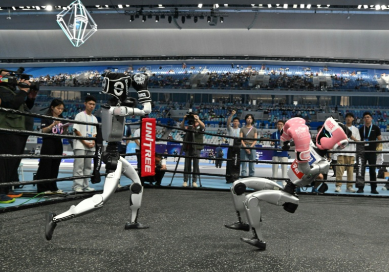 Deux robots s'affrontent lors de la première compétition mondiale de robots humanoïdes à Pékin, le 15 août 2025 ( AFP / ADEK BERRY )