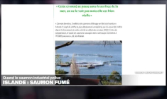 François, un pape écolo ?