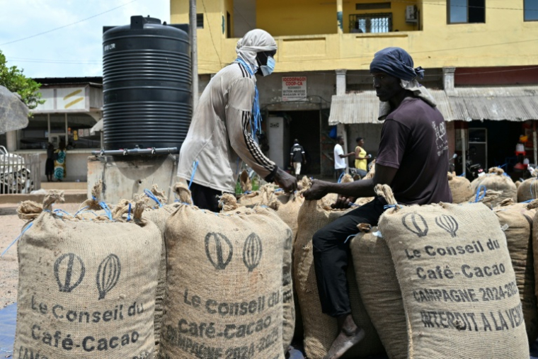 Des employés ferment des sacs de fève de cacao le 17 mars 2026 à Aboisso, dans le sud ivoirien ( AFP / Sia KAMBOU )