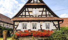 (Crédits photo : Unsplash - Flash Dantz )