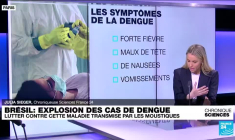 Épidémie de dengue au Brésil : Rio de Janeiro déclare l'état d'urgence sanitaire avant le carnaval