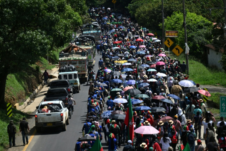 Manifestation de communautés autochtones contre le gouvernement de la Espriella, à Caldono dans le Cauca, en Colombie, le 14 octobre 2026 ( AFP / JOAQUIN SARMIENTO )