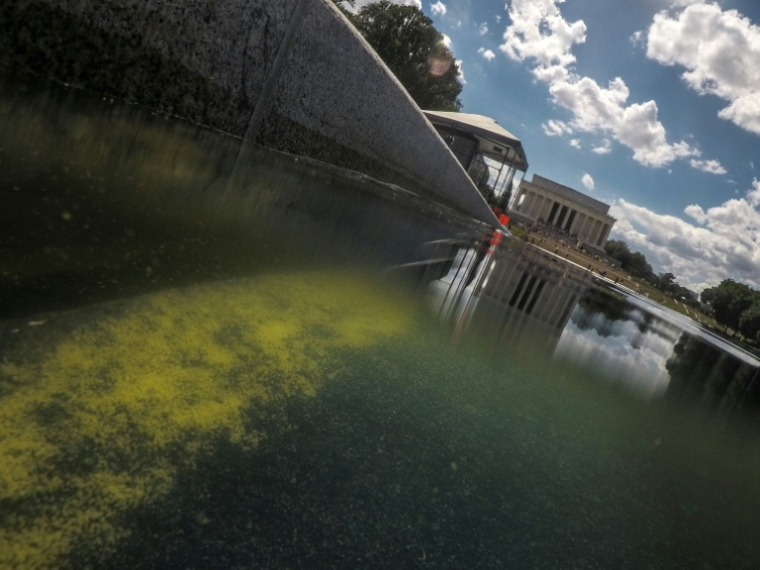Une fissure dans le produit d'étanchéité appliqué au fond du bassin du Lincoln Memorial est visible à travers l'eau chargée d'algues, le 18 juin 2026, à Washington DC ( AFP / Oliver Contreras )