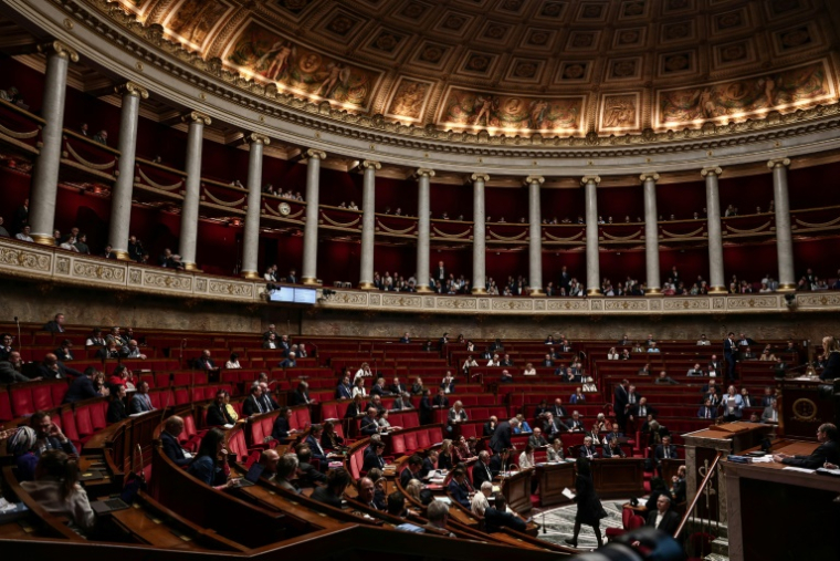 Avant d'accéder ou non à une demande d'aide à mourir, un médecin devra convoquer une réunion avec a minima un spécialiste et un soignant qui donneront leur avis, ont décidé jeudi les députés ( AFP / Thibaud MORITZ )