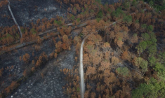 Une vue montre des champs brûlés à Hostens, en Gironde, en France