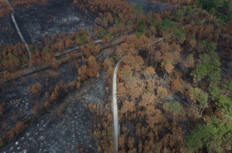 Une vue montre des champs brûlés à Hostens, en Gironde, en France
