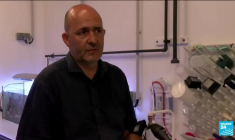 Le crabe bleu, une vraie menace pour la biodiversité