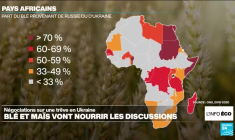 Trêve en Ukraine : l'accord céréalier va nourrir les discussions à Riyad