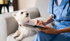Une assurance santé permet de faire face aux dépenses imprévues. ( crédit photo : Getty Images )