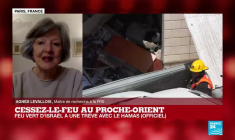 Trêve au Proche-Orient : "Elle arrive au bon moment pour les deux parties"