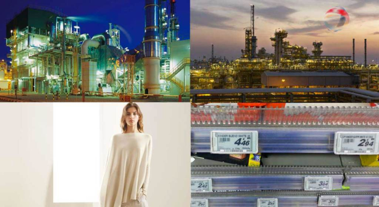 Le Revenu a sélectionné quatre titres au profil différent. (© Montage le Revenu)