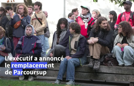 Mobilisation étudiante : les réponses du gouvernement, "des miettes et une arnaque"