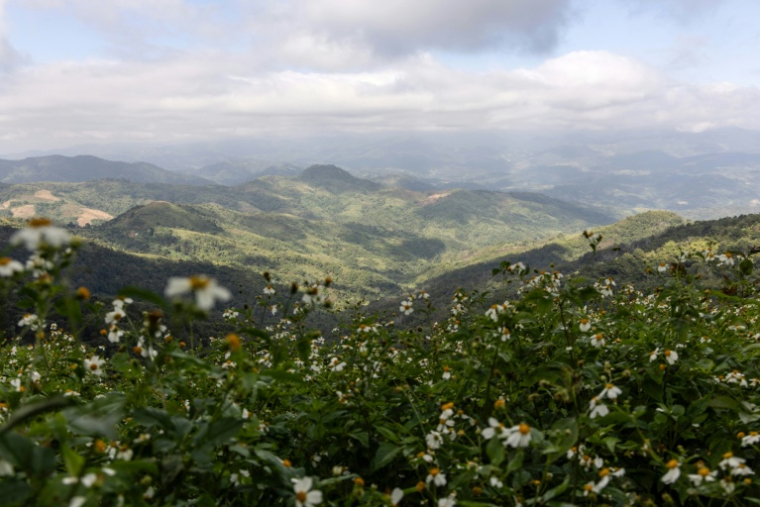 Photo fournie par Luke Duggleby, prise le 13 décembre 2025 et transmise à l'AFP le 25 février 2026, montrant les montagnes de l'est de la Birmanie vues depuis la frontière thaïlandaise, dans la province de Chiang Rai ( Courtesy of Luke Duggleby / Luke Duggleby )