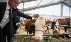 Le candidat Horizons à la présidentielle Édouard Philippe visite le Sommet de l'élevage à Cournon-d'Auvergne, le 9 octobre 2026 dans le Puy-de-Dôme ( AFP / OLIVIER CHASSIGNOLE )
