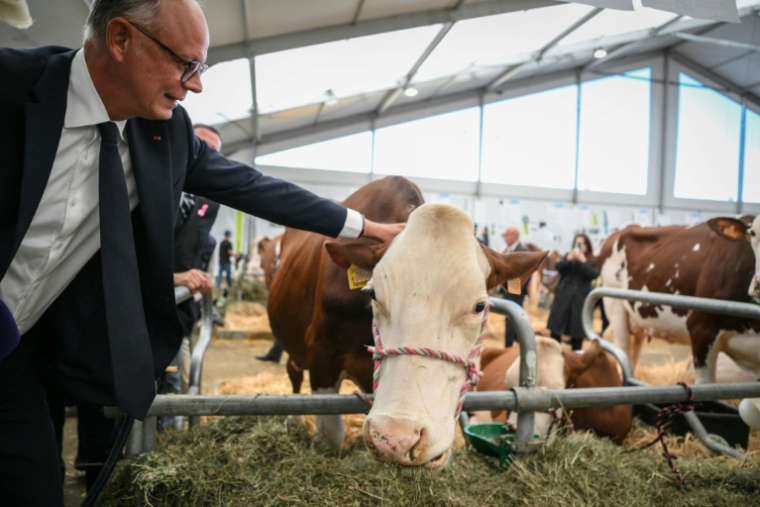 Le candidat Horizons à la présidentielle Édouard Philippe visite le Sommet de l'élevage à Cournon-d'Auvergne, le 9 octobre 2026 dans le Puy-de-Dôme ( AFP / OLIVIER CHASSIGNOLE )