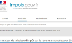 Le simulateur du fisc permet d'avoir une bonne idée de la baisse d'impôts au titre des revenus 2020. (© impot.gouv / capture d'écran)