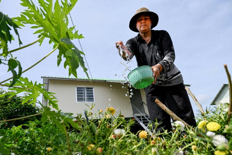 Ang Sophat arrose ses légumes devant sa maison dans un "village d'attente" du district de Svay Chek, dans la province de Banteay Meanchey, le 21 août 2026 au Caùbodge ( AFP / TANG CHHIN Sothy )