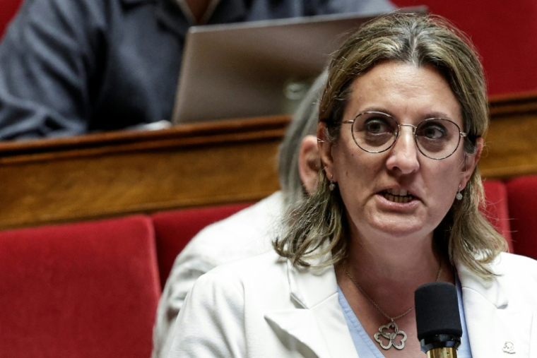 Perrine Goulet, députée des Démocrates, prend la parole lors d'une séance de questions au gouvernement à l'Assemblée nationale, à Paris, le 24 mars 2026 ( AFP / STEPHANE DE SAKUTIN )