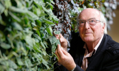 Le botaniste français Francis Halle, à Paris le 5 novembre 2013 ( AFP / Thomas SAMSON )
