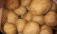 ( AFP / JOEL SAGET )