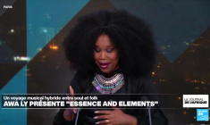 Tchad, Succès Masra arrêté pour "incitation à la haine" après les affrontements dans le sud-ouest