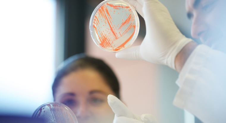 Deinove cherche à produire des caroténoïdes biosourcées à haute valeur ajoutée utilisés dans la cosmétique et l’alimentation humaine. (© Deinove)