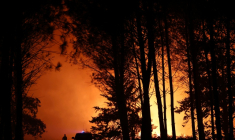 Un pompier observe un incendie de forêt qui fait rage près de Luglon, dans les Landes, le 13 août 2026 ( AFP / ROMAIN PERROCHEAU )