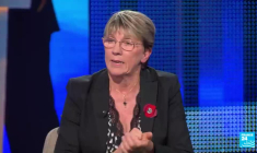 Une "pause environnementale" pour l'UE ? L'offensive des lobbys et partis contre les normes