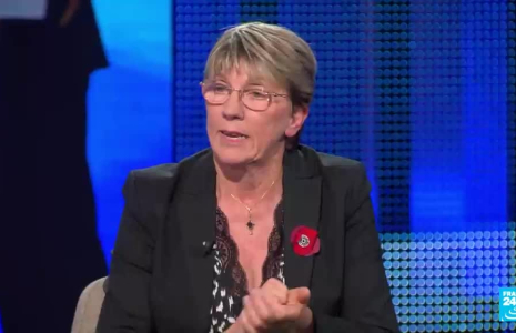 Une "pause environnementale" pour l'UE ? L'offensive des lobbys et partis contre les normes