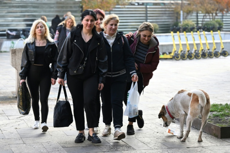 Un chien errant dans une rue de Tbilissi, le 16 novembre 2025 ( AFP / Vano SHLAMOV )