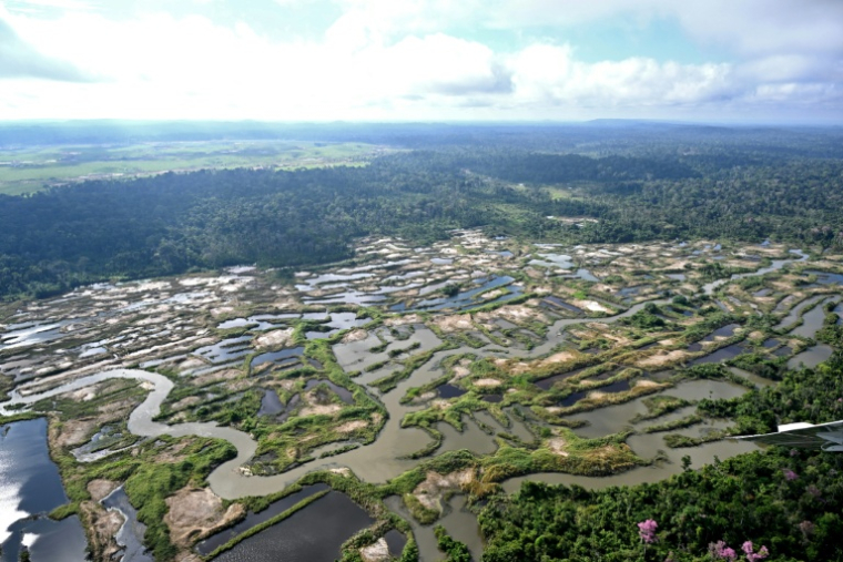 Vue aérienne d'une zone minière illégale dans la municipalité de Jacareacanga, en forêt amazonienne, dans le sud-ouest de l'État du Pará, au Brésil, le 21 mai 2026 ( AFP / Evaristo Sa )