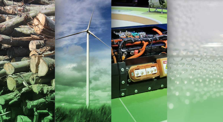 Le revenu fait le tri parmi les valeurs vertes. (© CC A gore/J. Leroy/Yawing hunter/flickr.com/L.Mckernan)