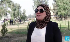 Irak : à Mossoul après la guerre, on plante des acacias et des cyprès