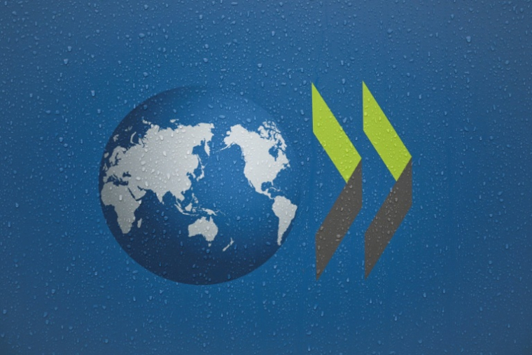 L'OCDE s'est inquiétée de la chute de 23,1% de l'aide publique au développement en 2025 ( AFP / Grégoire CAMPIONE )