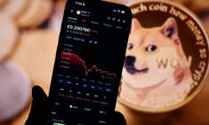 Illustration montrant l'évolution du cours de la cryptomonnaie dogecoin. ( AFP / HENRY NICHOLLS )