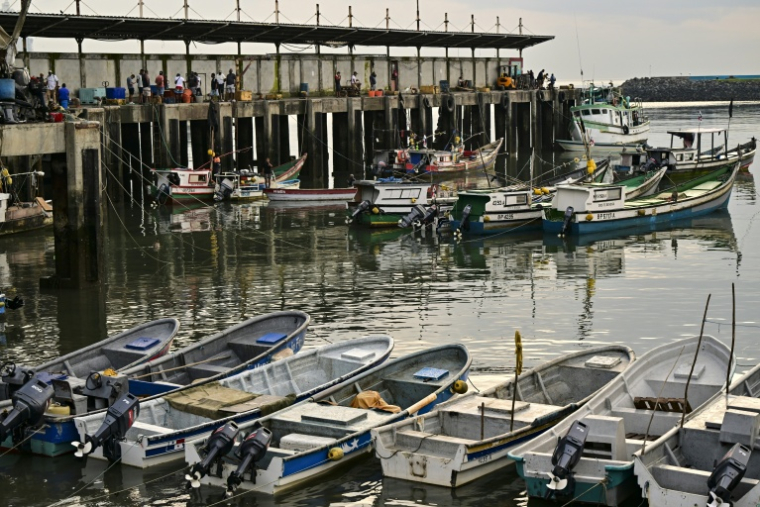Des bateaux amarrés au terminal de pêche de la ville de Panama, le 24 septembre 2026 ( AFP / MARTIN BERNETTI )